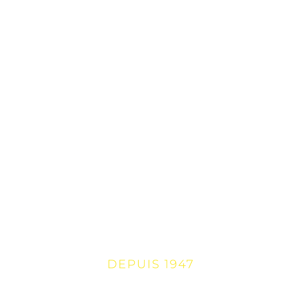 identité visuelle – agence motte